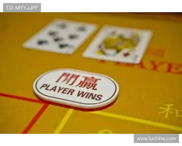 澳门六张赌牌持有人身份及其在澳门博彩行业中的影响力分析